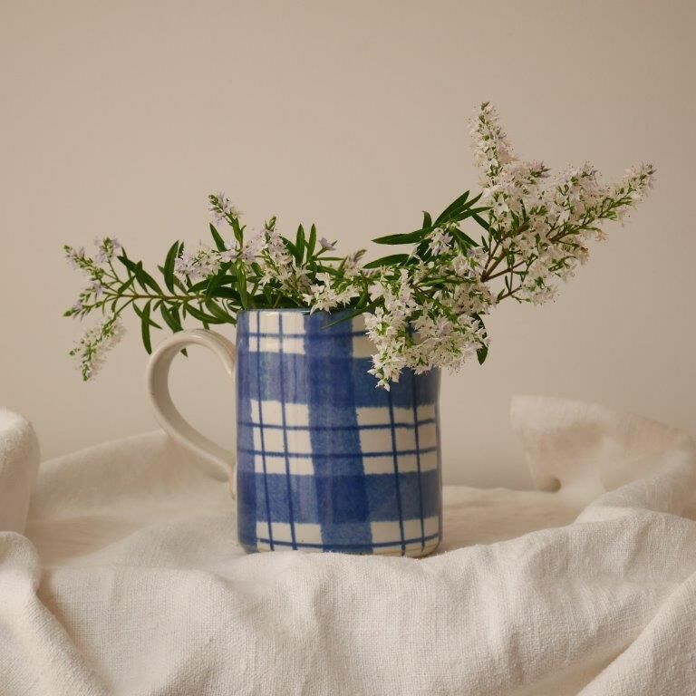 Pitcher Anta