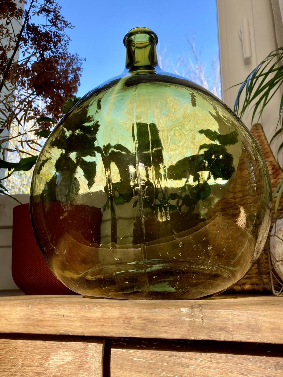 10L demijohn in a pretty olive green