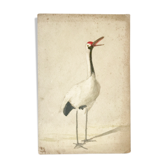Ancient watercolor on cardboard featuring a wader
