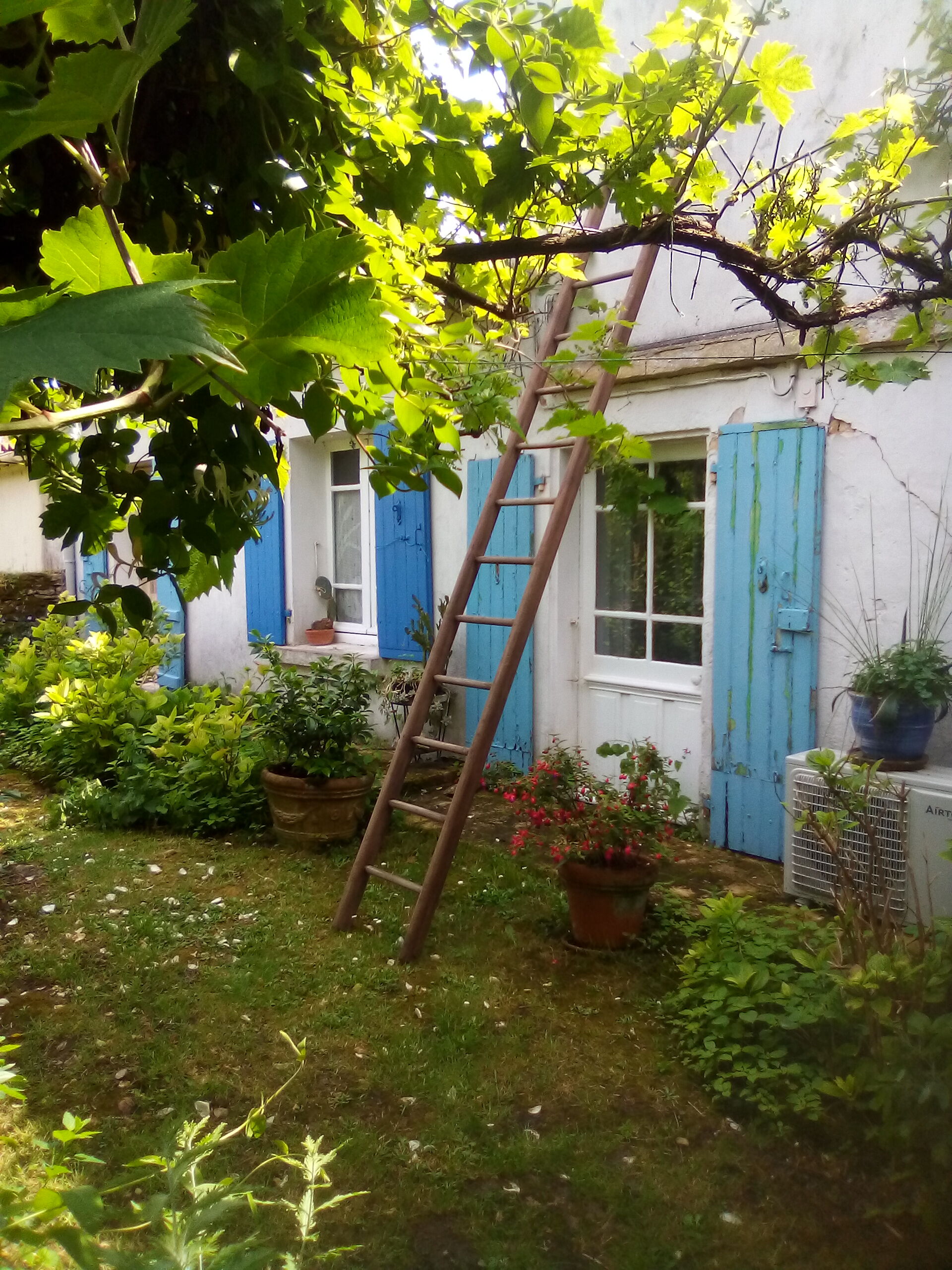 Old wood scale 4 meters