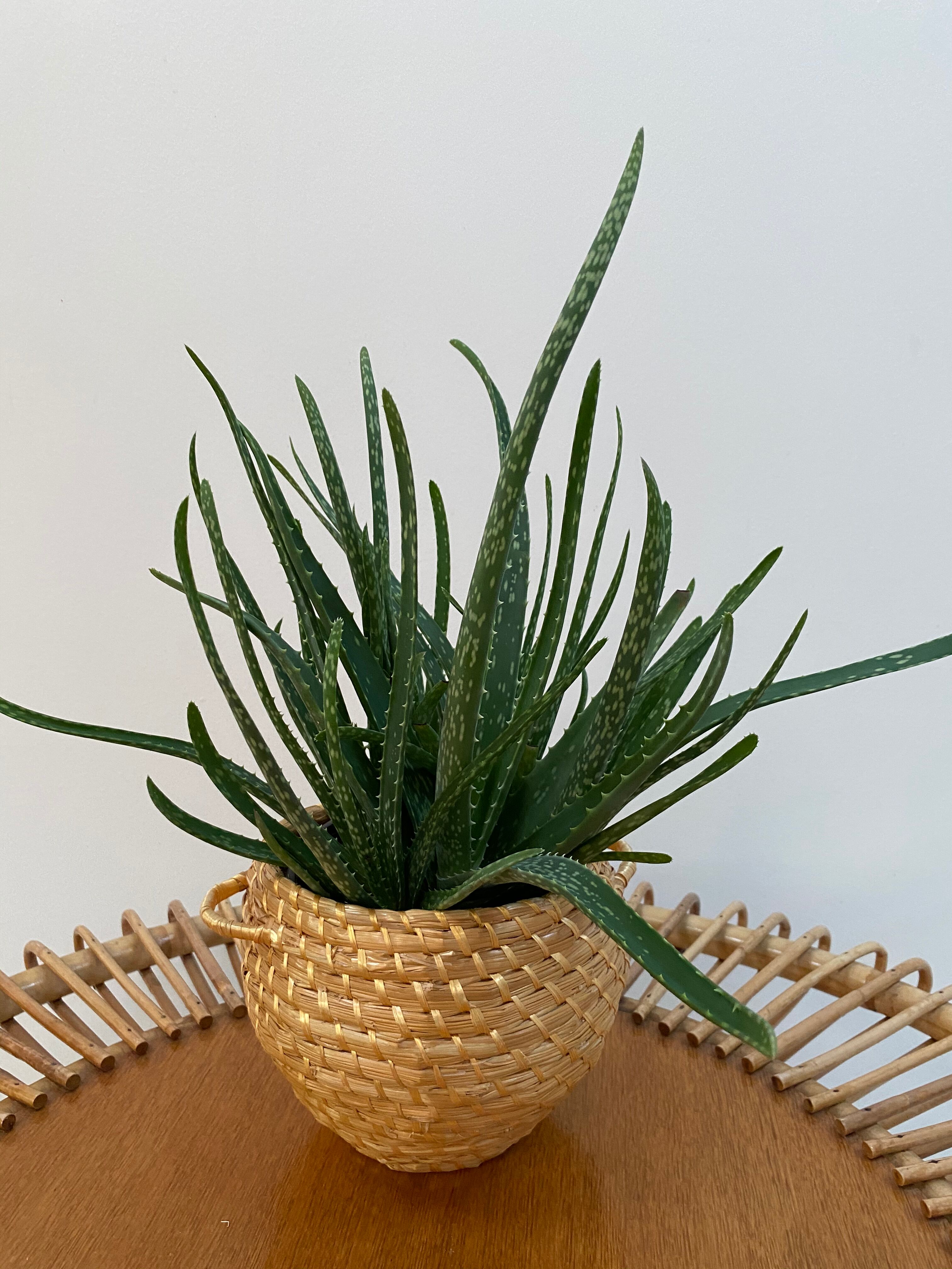 Artisanal basket made of natural fibers