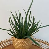 Artisanal basket made of natural fibers