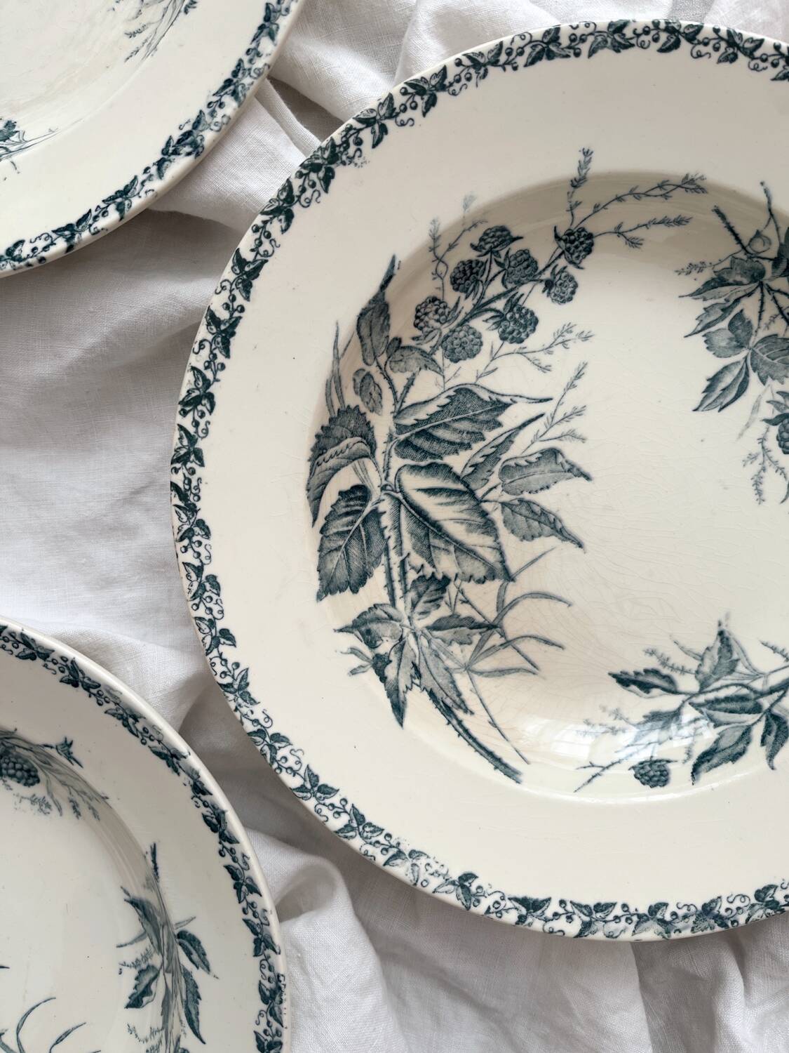 6 ironstone soup plates “Mûre” Badonviller