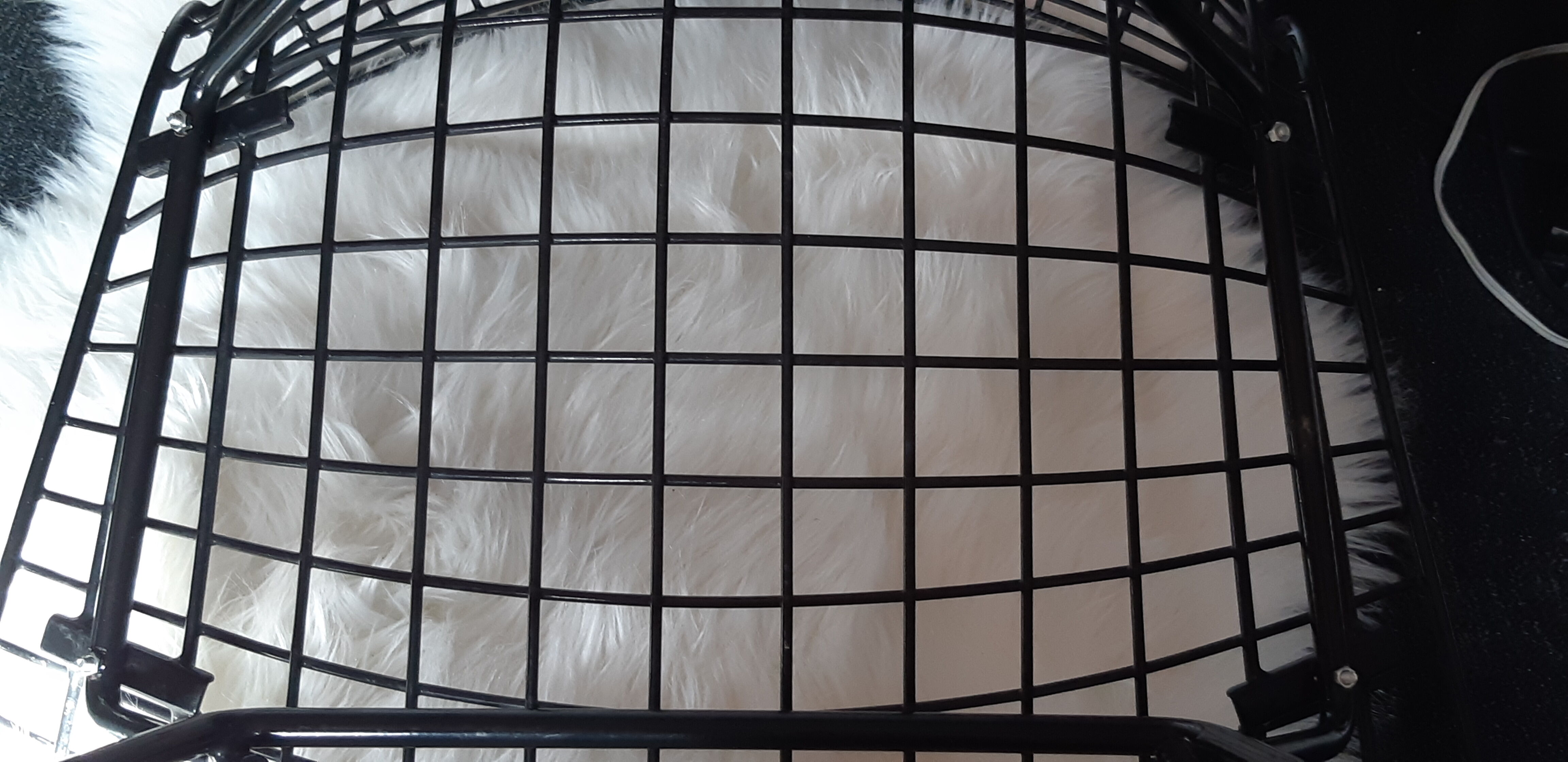 Chair by Harry Bertoia