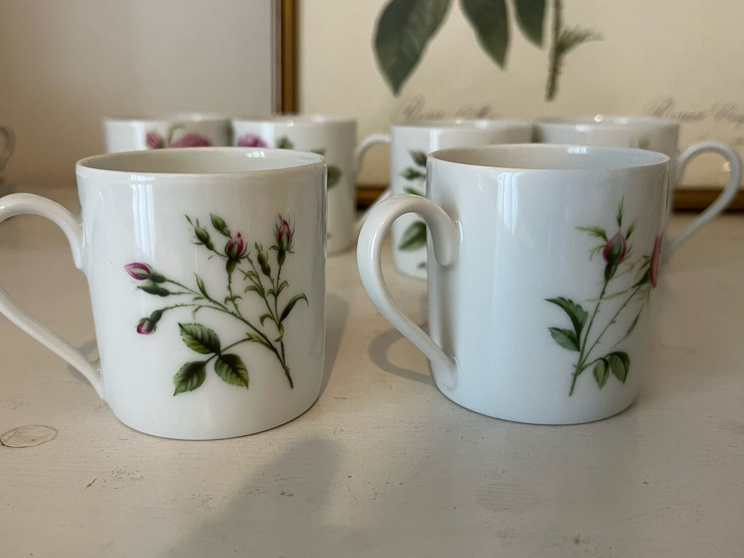 Porcelain cups rose pattern