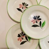X5 small plates floral pattern glass Digoin sarreguemines Rustic -France -retro-vintage