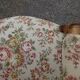 Antique Voltaire armchair with 4-position reclining backrest