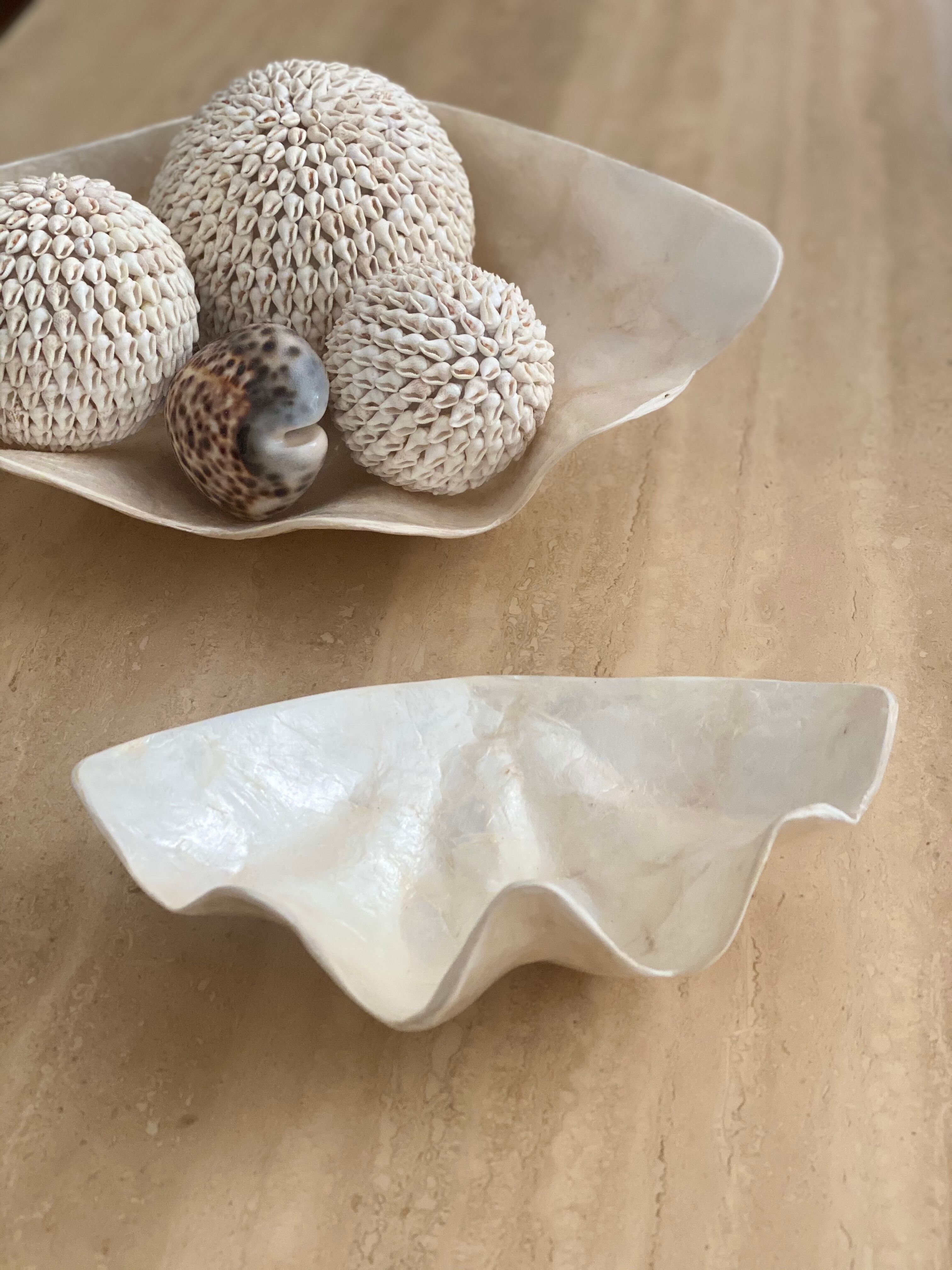 Pearly white shell benign cup