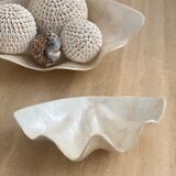 Pearly white shell benign cup