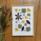 Herbier encadré Matisse
