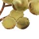 Vintage Tree Art Object by Daniel D’Haeseleer – Wall Decoration (59 cm)