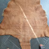 Kangaroo skin