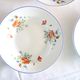 Set of 6 hollow plates of Salins, Poppy pattern, opaceline, vintage