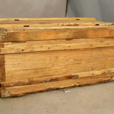 Old trunk