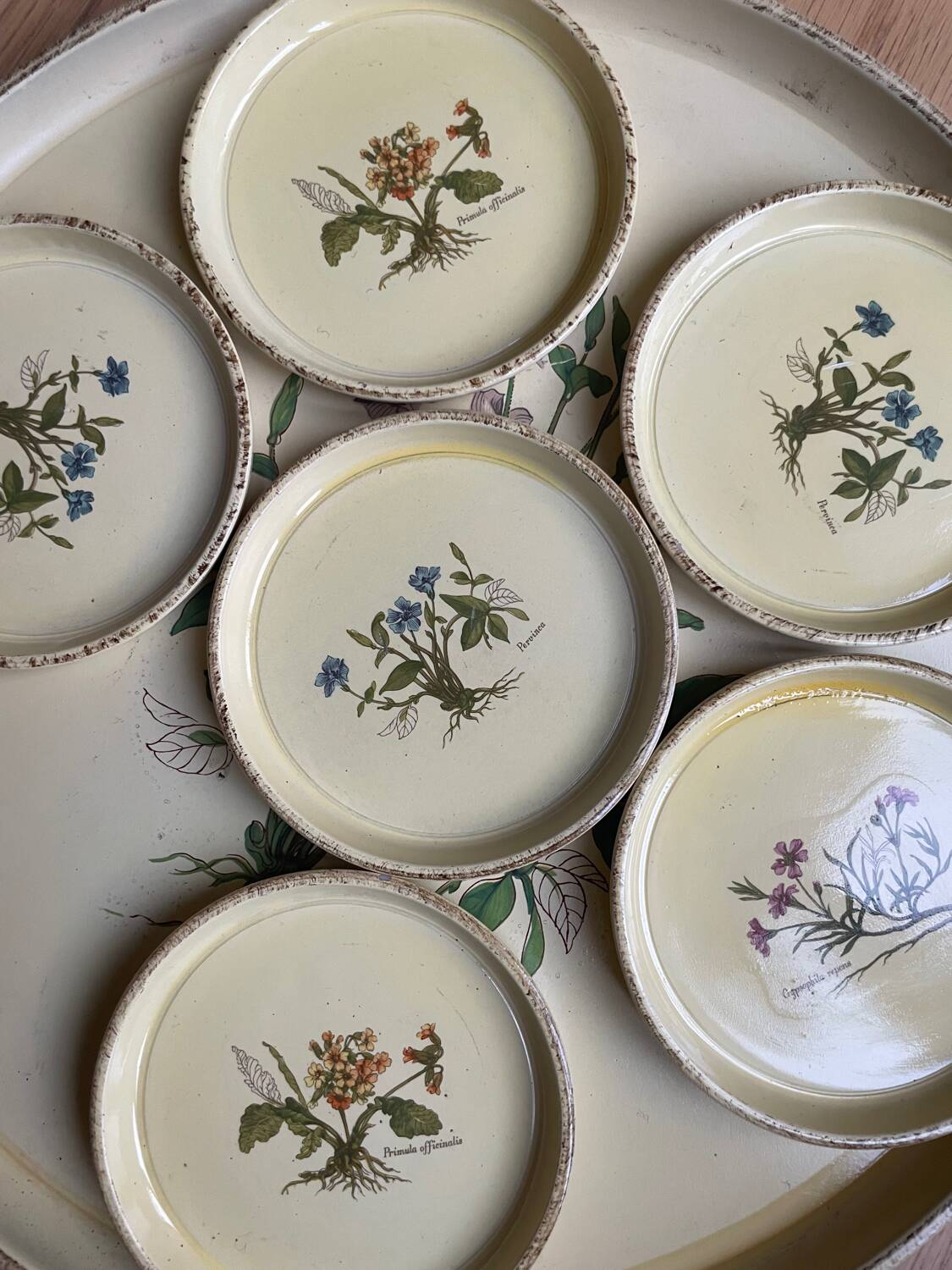 Vintage tray and under glass