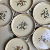 Vintage tray and under glass