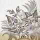 Dish bindweed Pexonne