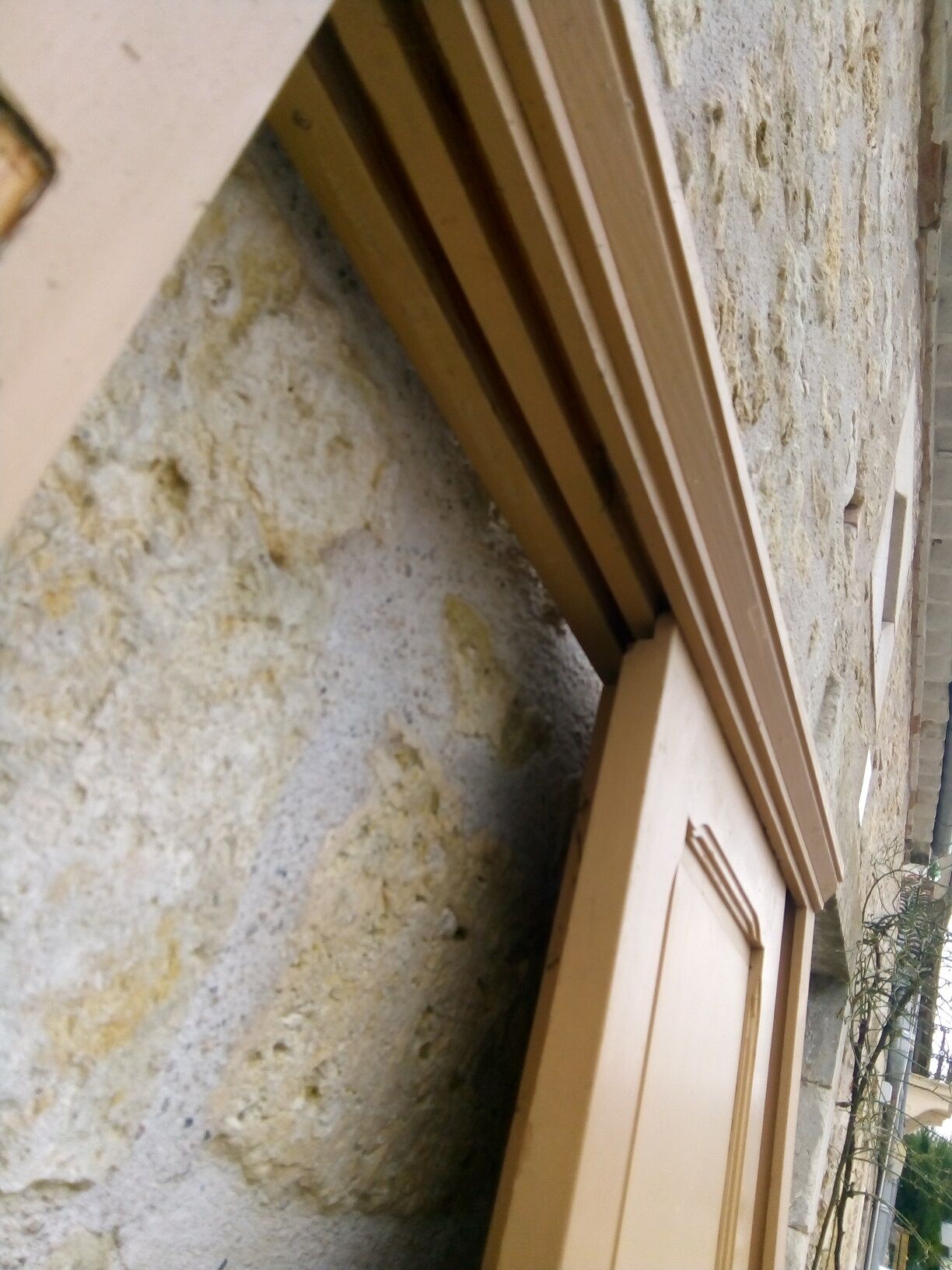 Paire de portes de placard parisien
