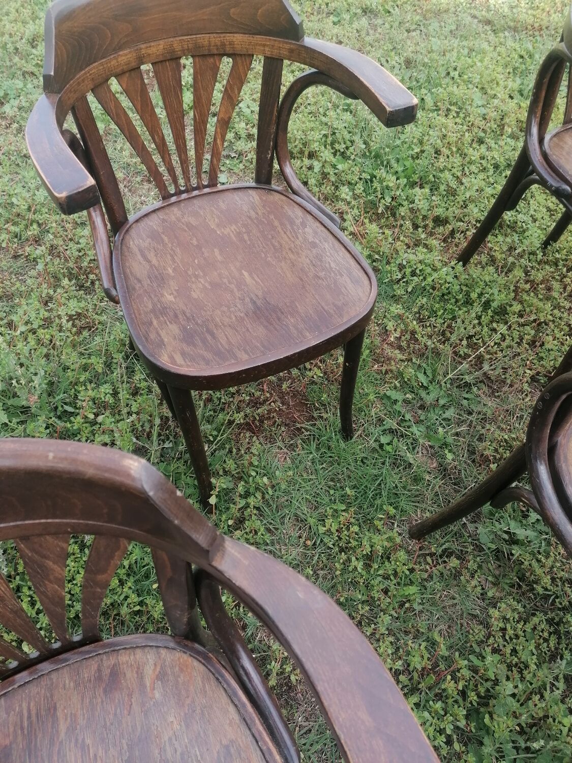 Set of 30 vintage bistro armchairs