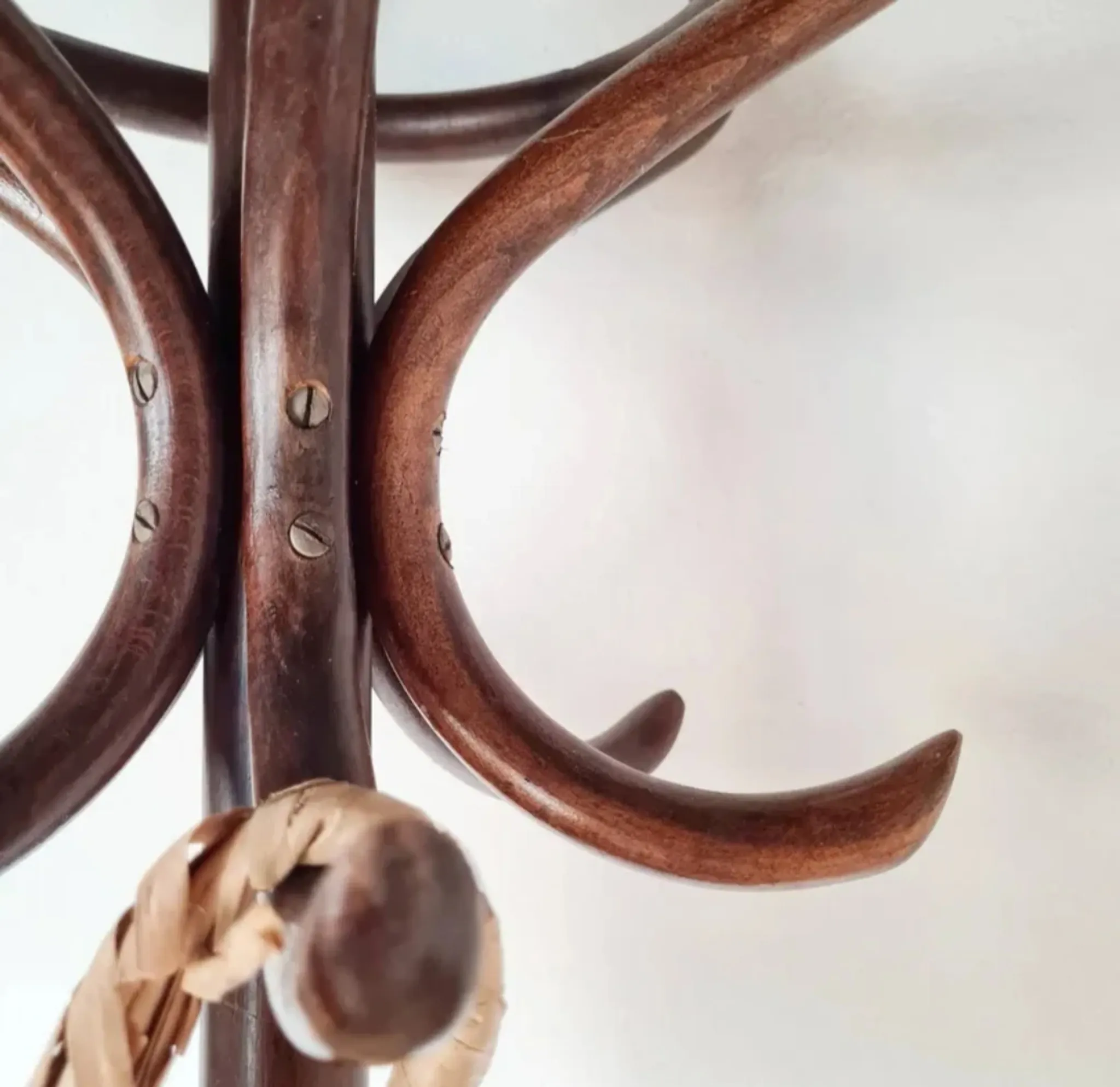 Antique curved wooden coat rack in the Thonet style, 1875.