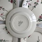 5 flat plates Digoin Sarreguemines model Aigues-Vives hand painted years 30-40