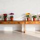 Console Tables in Walnut and Cherry, Czech, 1920s, Set of 2