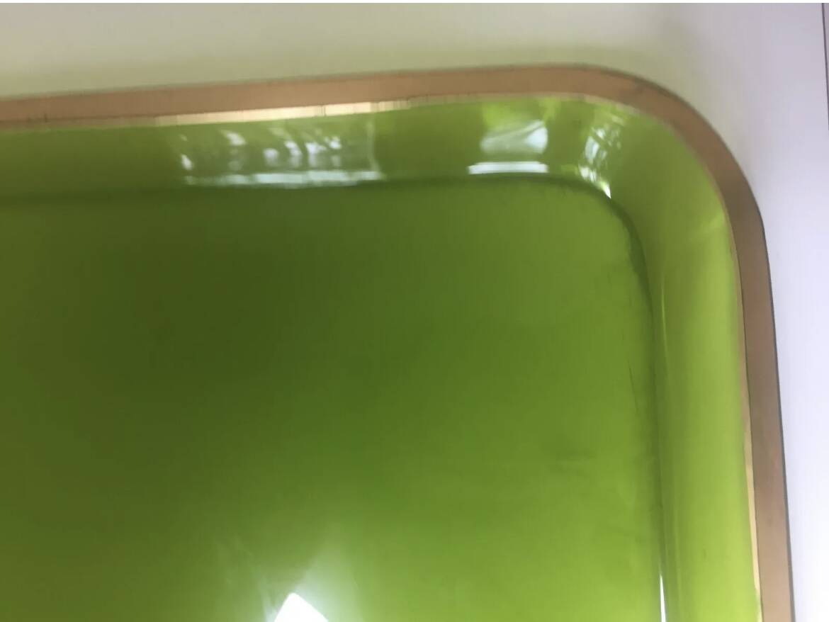 Antique Baccarat green and gold crystal tray?