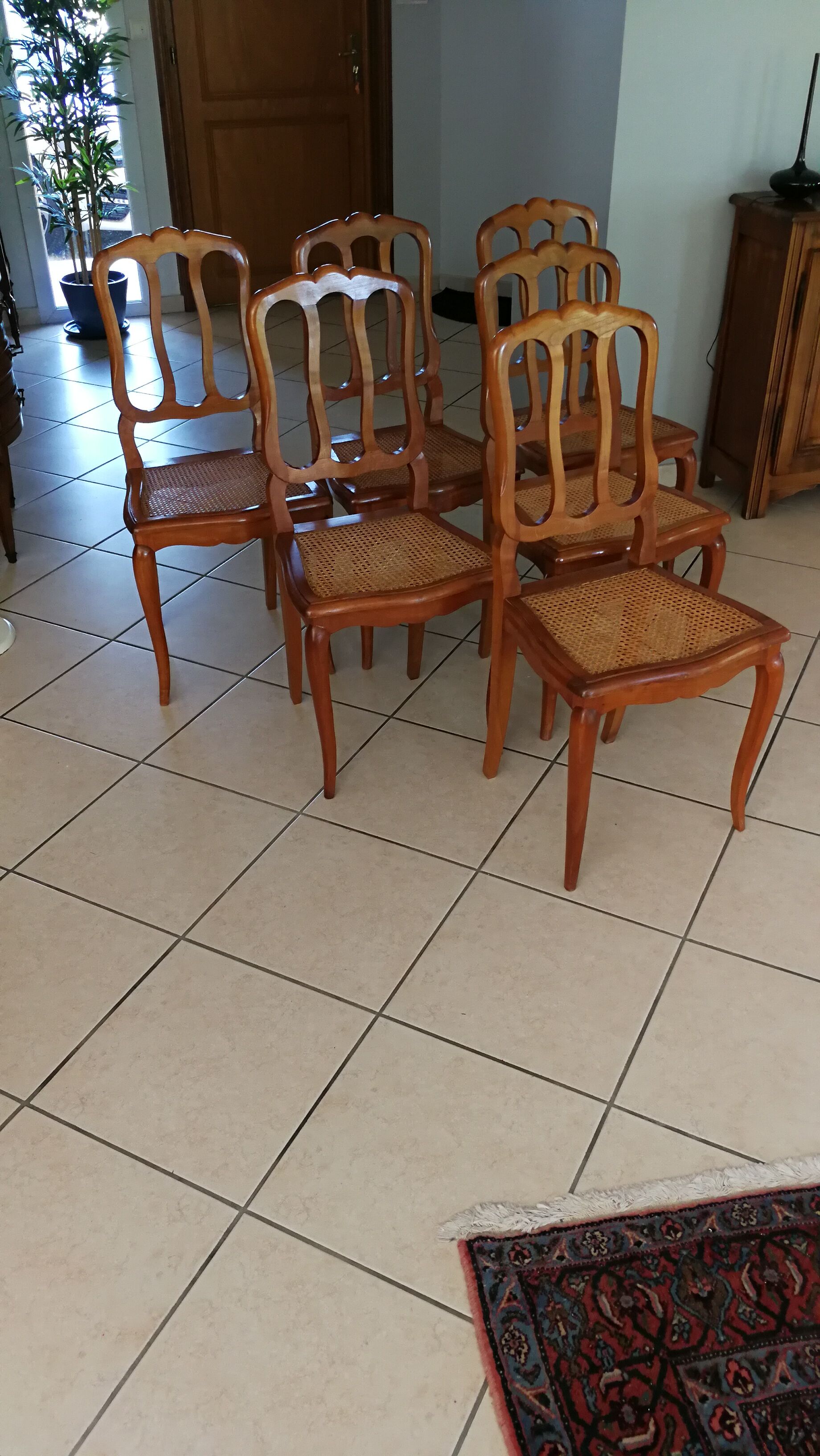 Serie de 6 chaises