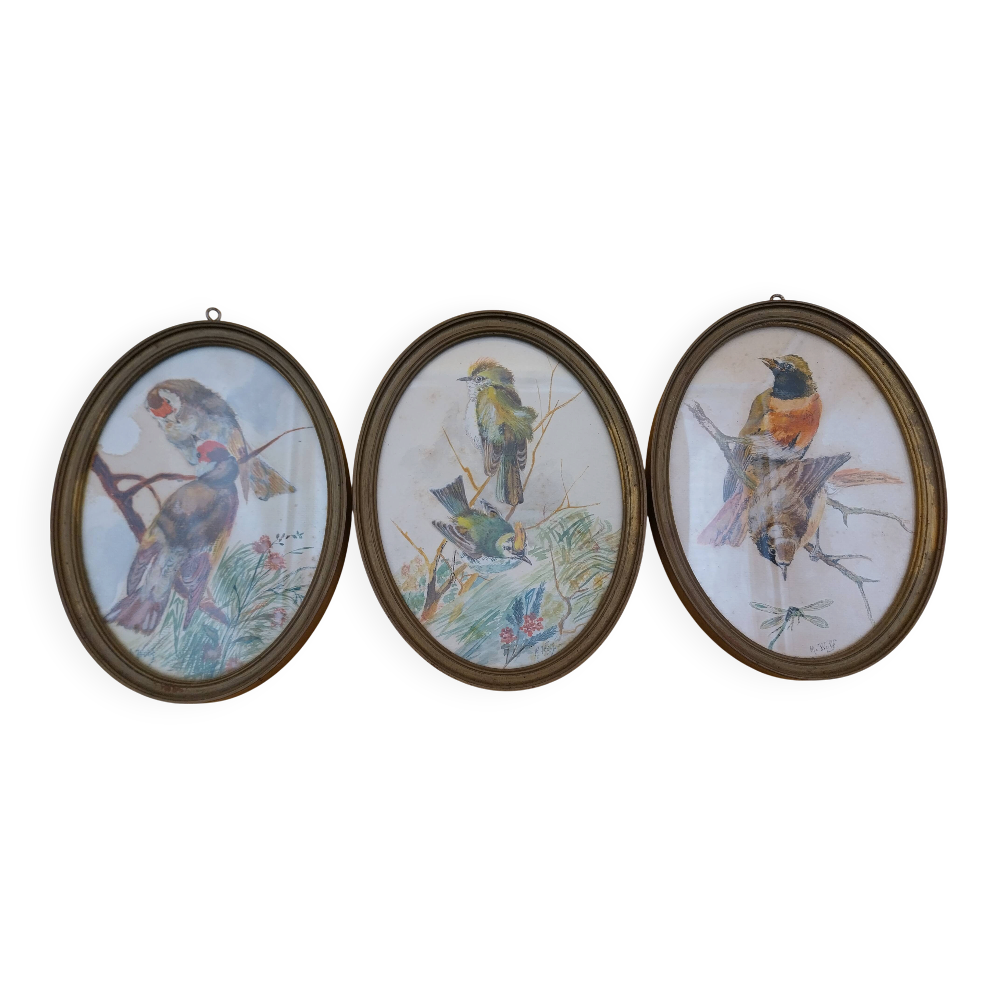 3 tableaux aquarelle peinture oiseaux signé Wolf