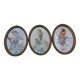 3 tableaux aquarelle peinture oiseaux signé Wolf