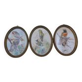 3 watercolour paintings of birds signed Wolf