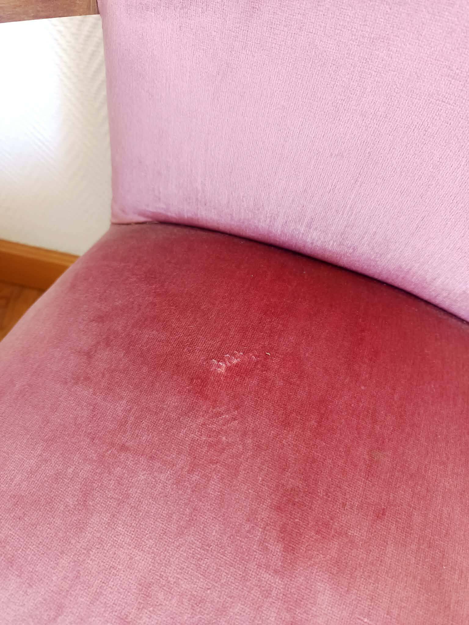 Paire de fauteuils moustache velours rose art déco