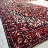 Baktiar carpet