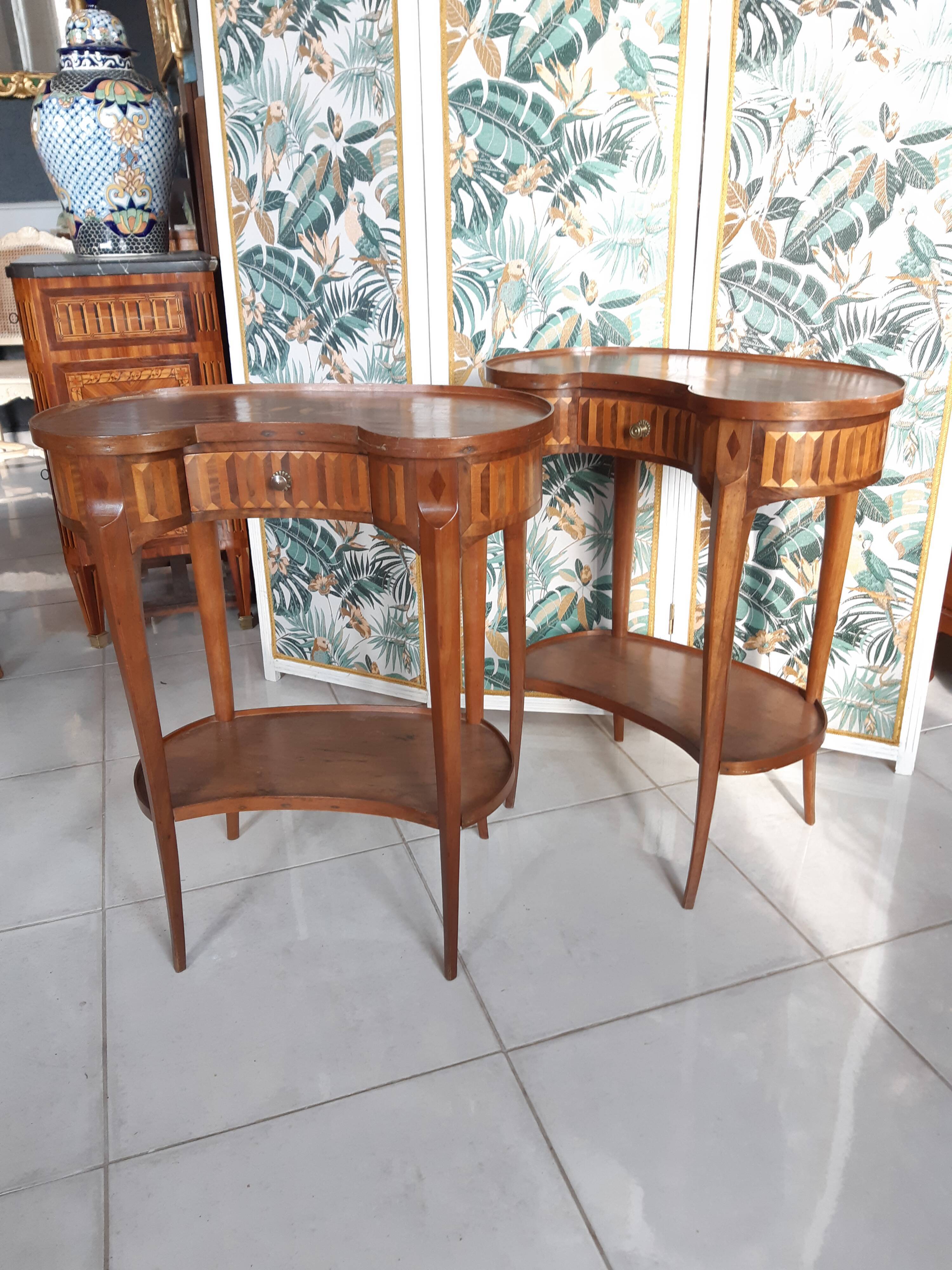 Pair of kidney table