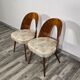 Pair of Dining Chairs by Antonin Suman, 1960s