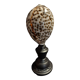 Cabinet of Curiosities shell cypraea tigris on base