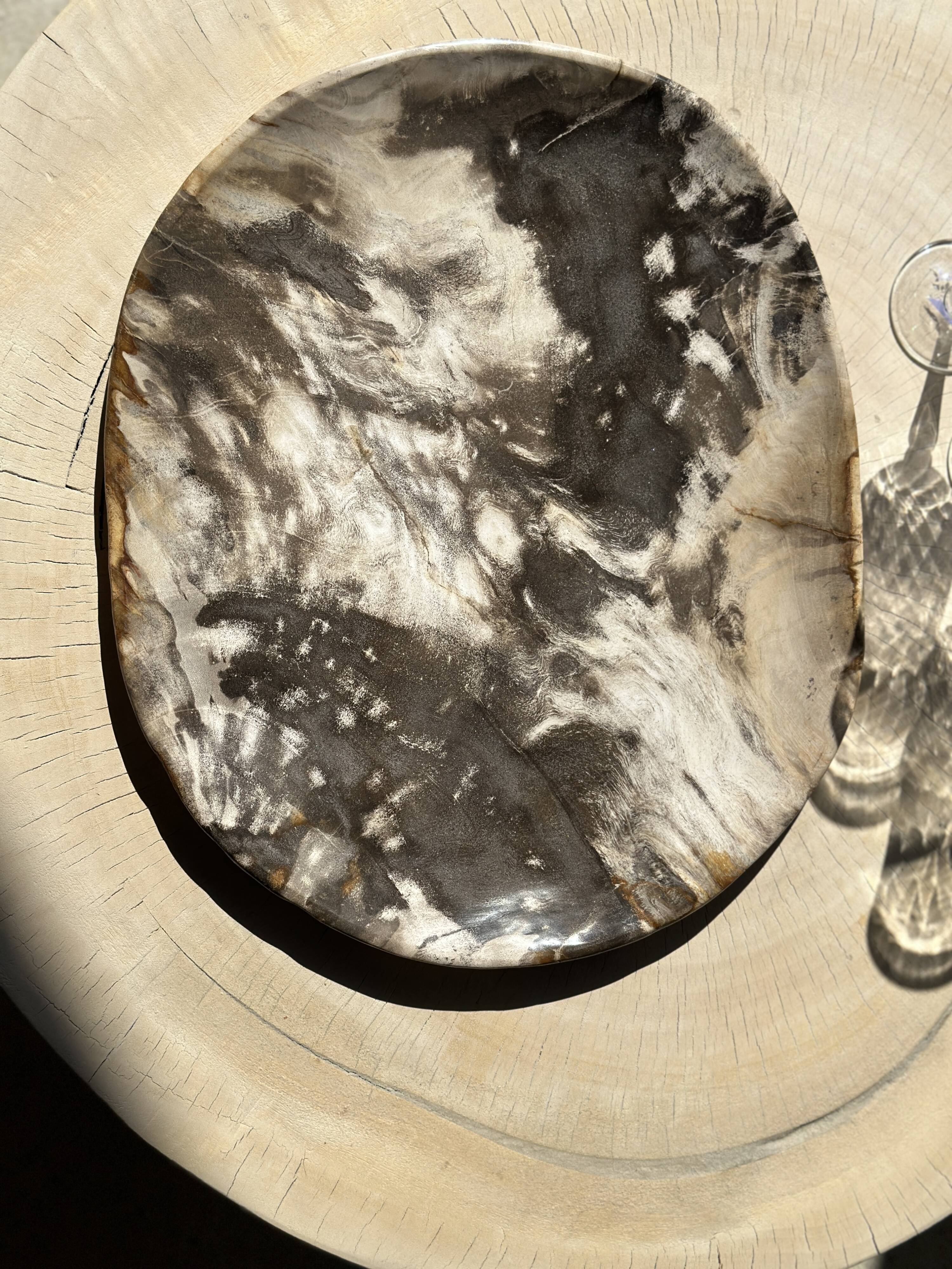 Very large pocket or dish in petrified wood