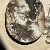 Very large pocket or dish in petrified wood