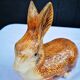Former red rabbit terrine