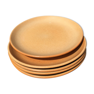 5 sandstone plates