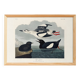 Poster about the Black Guillemot, based on an old engraving from 1827.