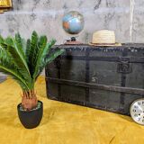 Antique travel trunk