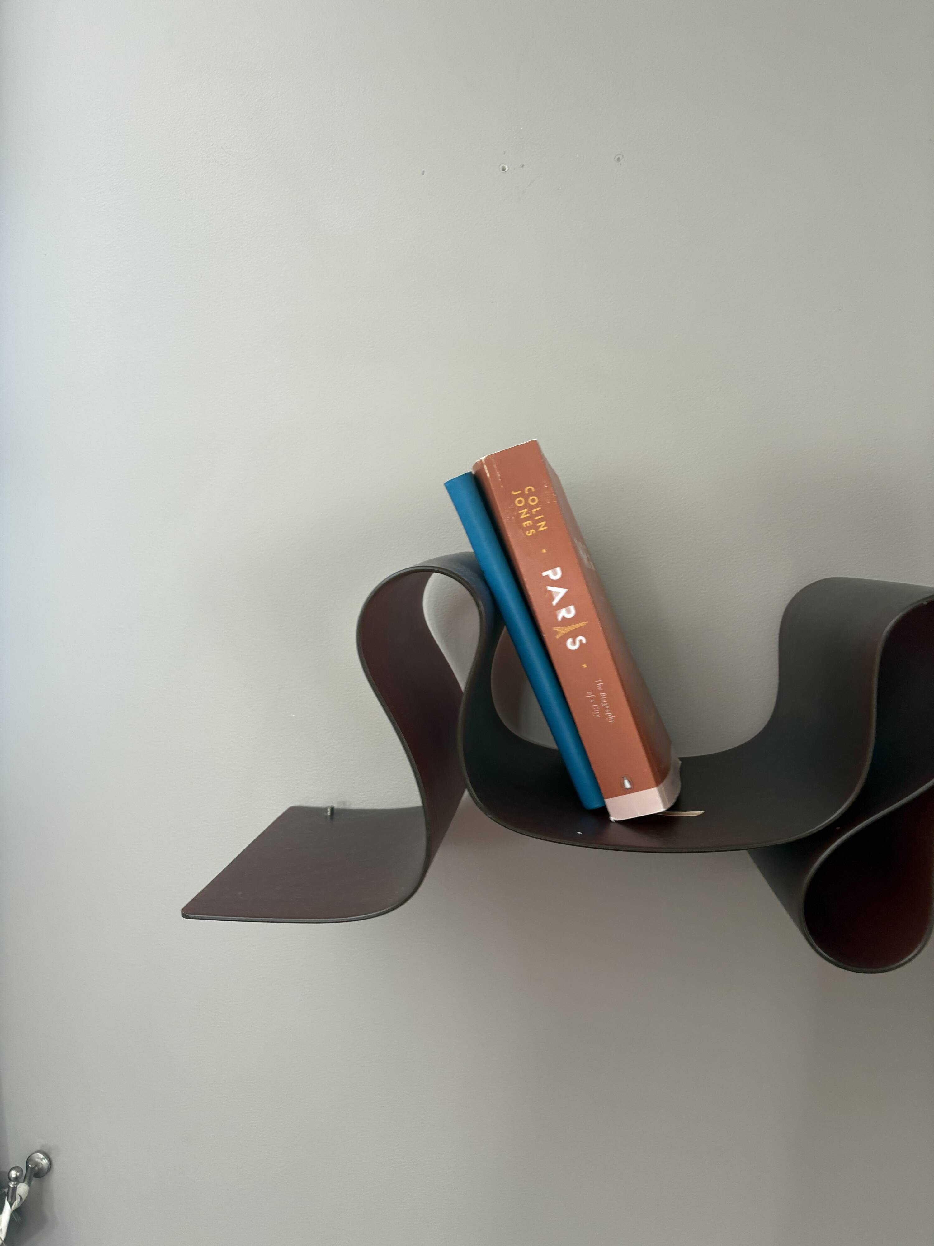 Kartell Shelf | Ron Arad Lovely Rita