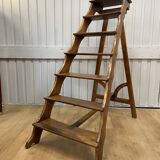 Late 19th century walnut library stepladder
