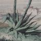 Original zoological illustration "mule" - Buffon 1840
