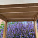 Duo de chaises Baumann