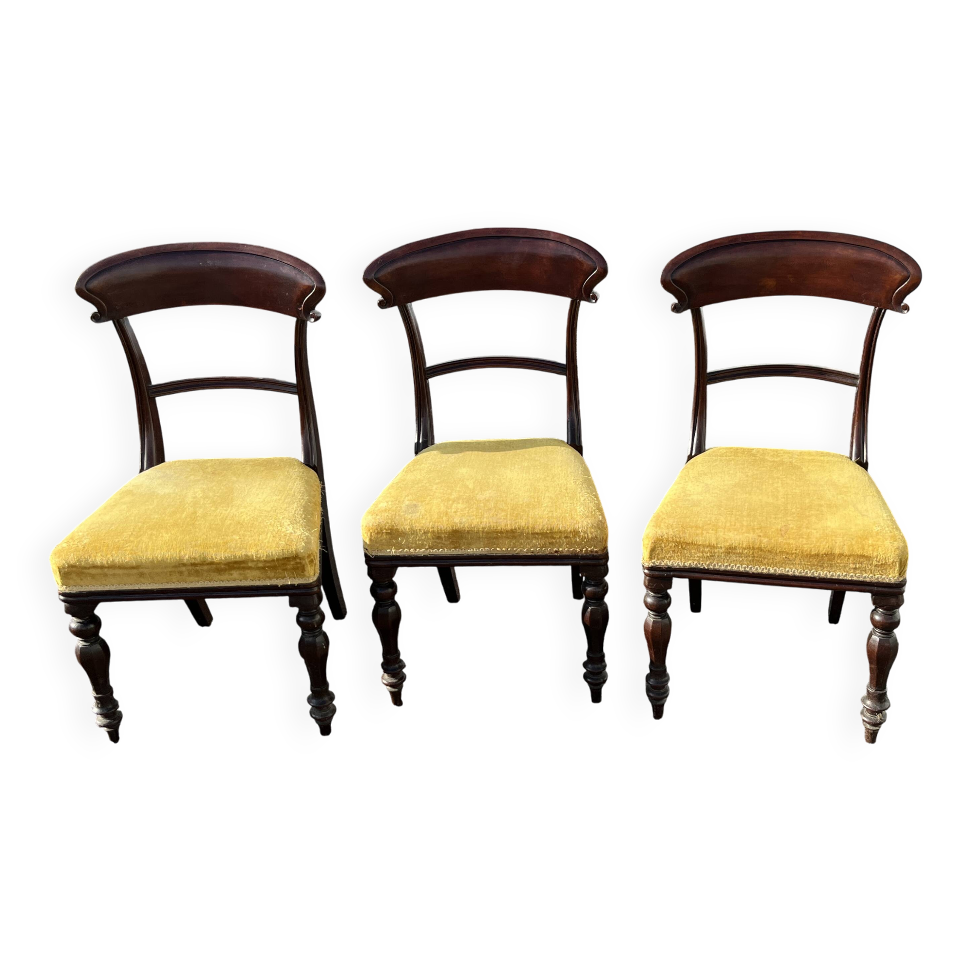 Lot de 3 chaises style victorien – acajou – assise velours jaune