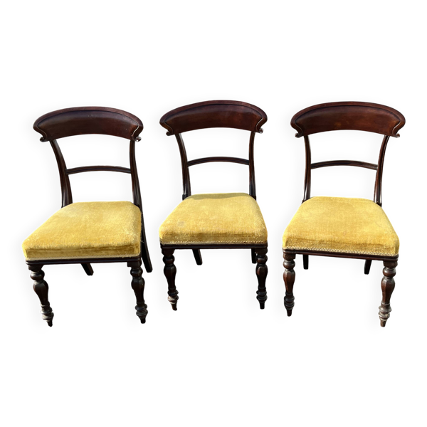 Lot de 3 chaises style victorien – acajou – assise velours jaune