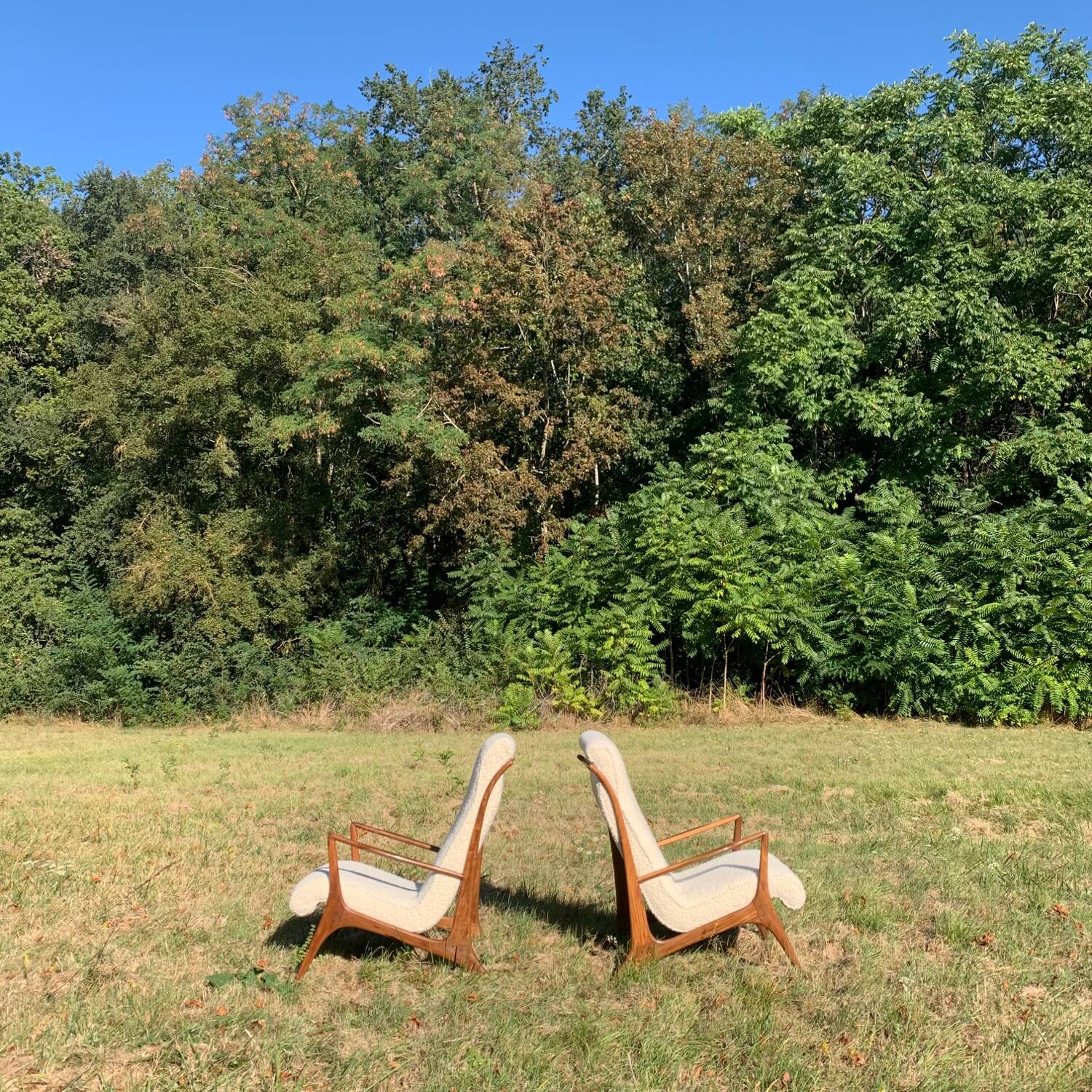 Pair of modern VK armchairs by J.Graz in caviuna, 1950s