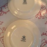 Set of 2 Mason's ironstone dinner plates
